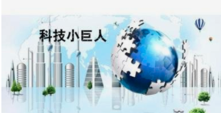 关于印发《上海市科技小巨人工程实施办法》的通知