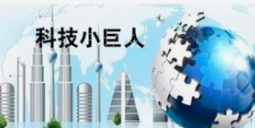 关于发布上海市2021年度“科技创新行动计划”科技小巨人工程项目···